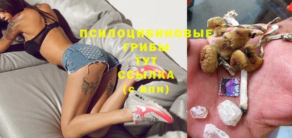 соль курить ск Верея
